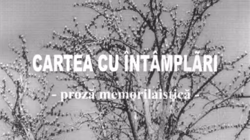 coperta20falub.jpg