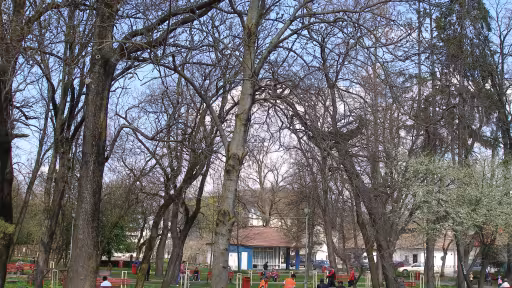 p1010455.jpg