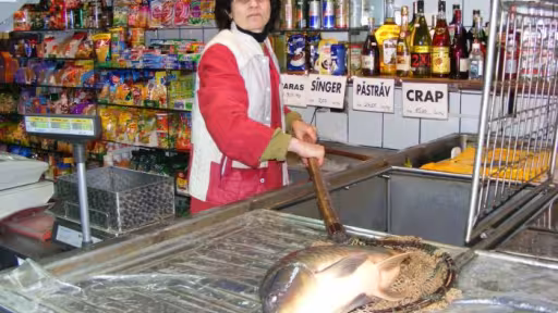 pesti.jpg