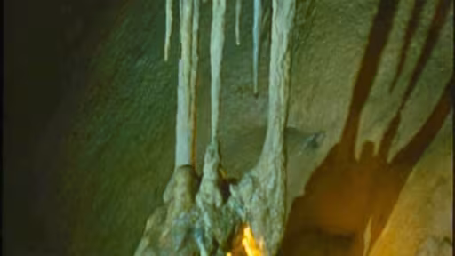 pestera.jpg