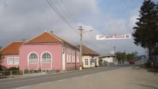 joseniul20asteapta20alaiul20nuntilor.jpg