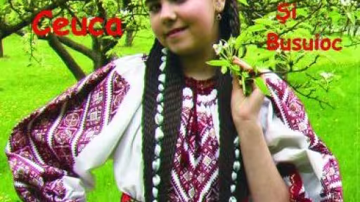alina20coperta201.jpg