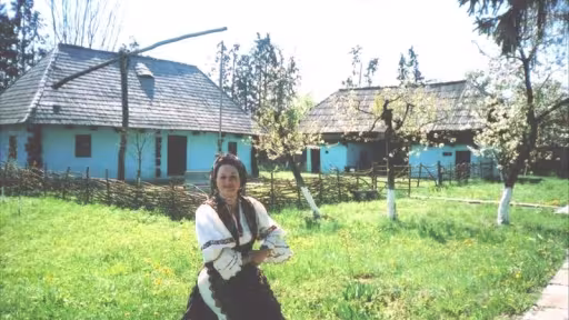 pictur59.jpg