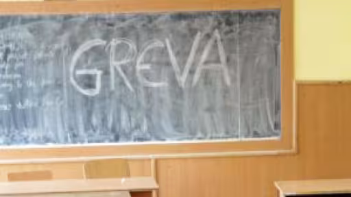 7911253775878greva2.jpg