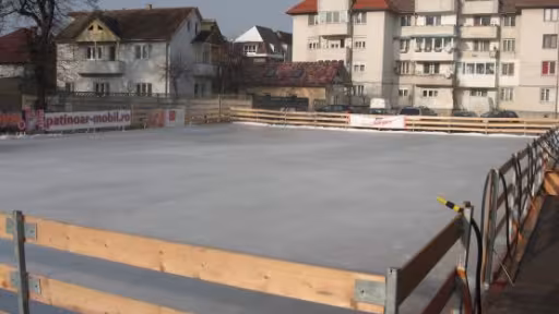 patin.jpg