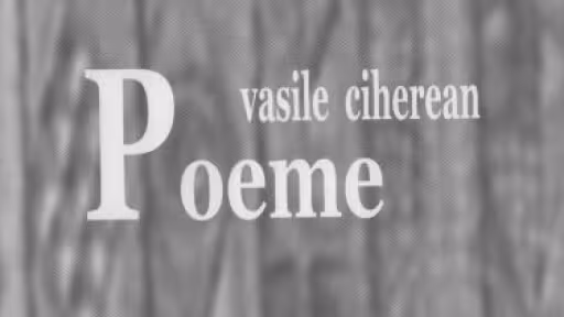 coperti205.02.jpg