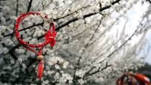 image-2009-03-1-5458120-46-martisor.jpg