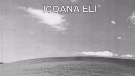 icoana20eli.jpg