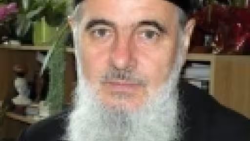 vasile0.thumbnail.jpg
