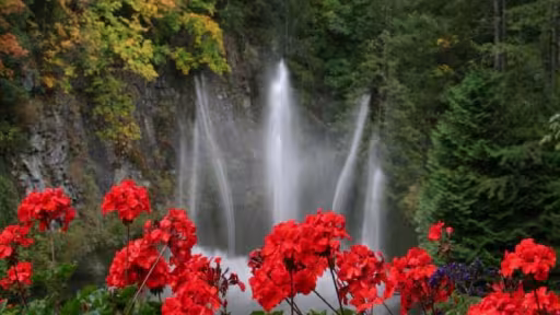 natura.jpg