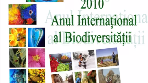 afis20biodiv.jpg