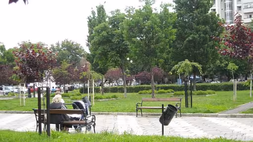 dscn5825.jpg