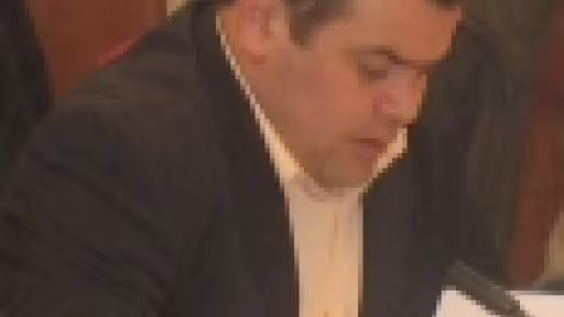 ioanborsthumbnail.jpg