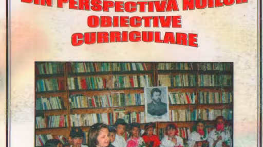 dictionar2030.06.jpg