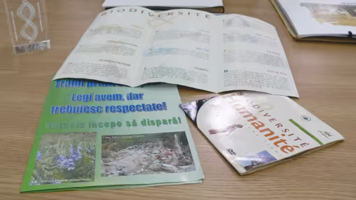 1-bio1.jpg