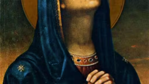 maicadomnuluiruga.jpg