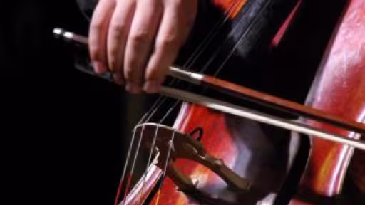 violoncel21438.jpg