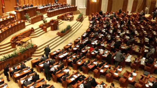 20101117021219parlament-sala-plen-mediafax.jpg