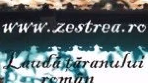 banner20mic20zestrea.jpg