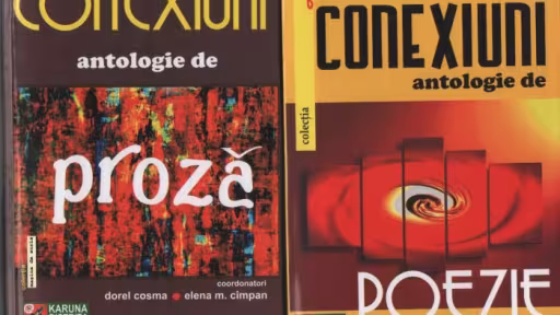 conexiuni1.jpg