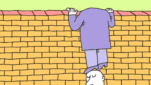 ce-e-curtea-vecinului.gif
