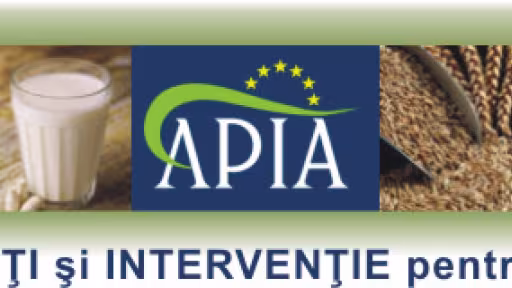 antet-apia.jpg