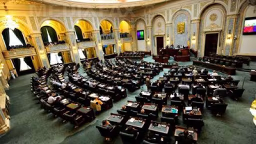 senat-604-bogdan-maran.jpg