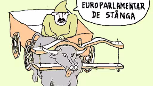 candidati-pentru-parlamentul-europei.gif