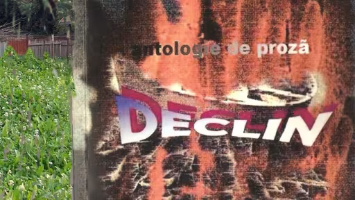declin-coperta1.jpg