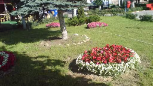 dsc00612.jpg
