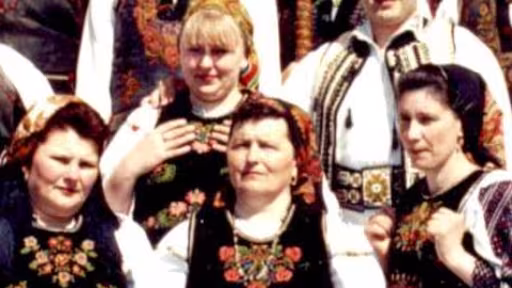 plaiurile20b2011.jpg