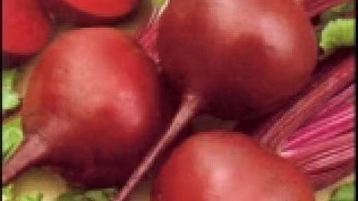 sfeclarosie.thumbnail.jpg