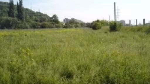 teren-abandonat.imgassistproperties.jpg