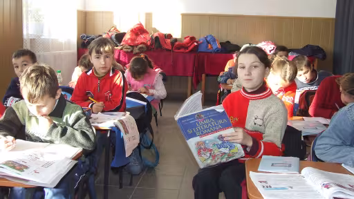 elevivalcea.jpg