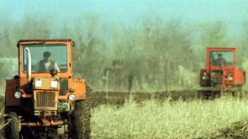tractoare-camp.jpg