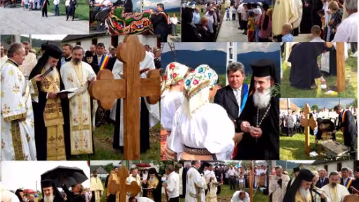 colaj20livezile.jpg