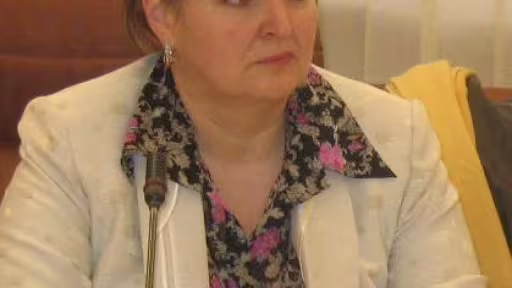 dinasuciu0.jpg