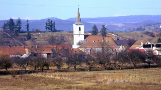 poze2012082.jpg