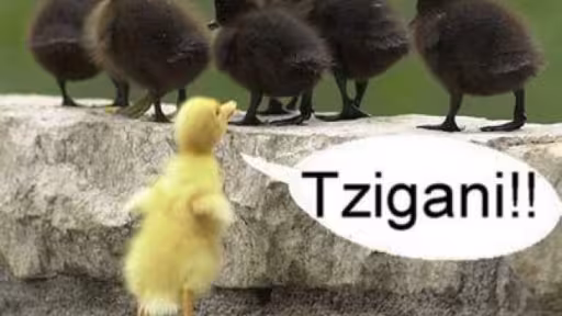 asdas.jpg