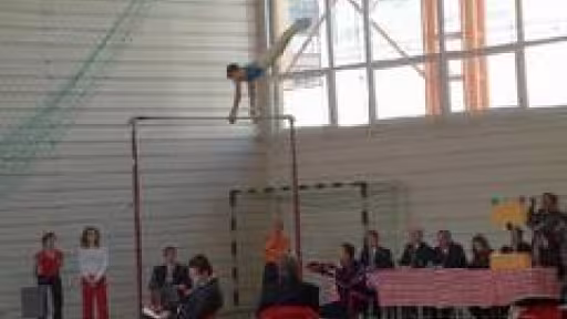 gimnastica.jpg