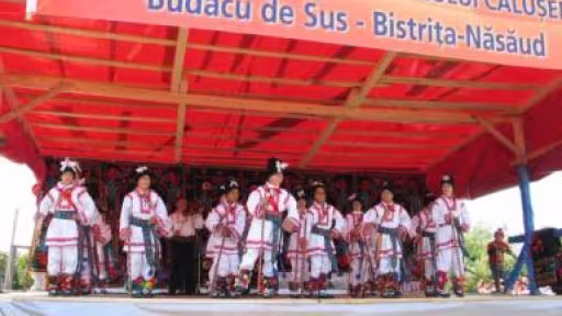96.jpg