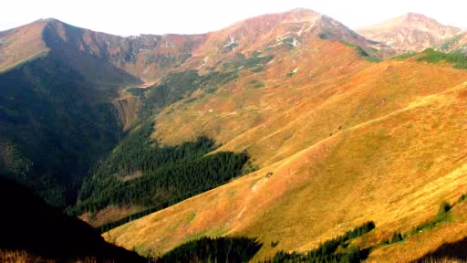 rodna.jpg