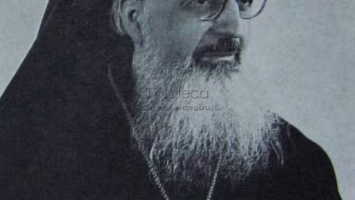 043anp.jpg