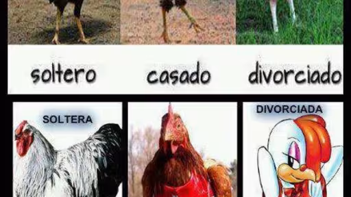 hhthzhzhz.jpg