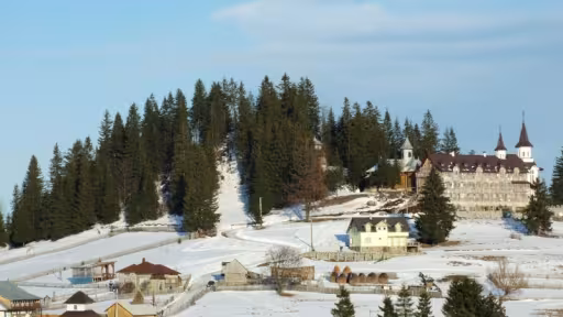 117843manastirea-piatra-fantanele.jpg