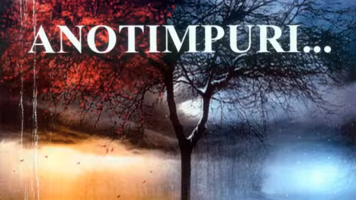 anotimpuri.jpg