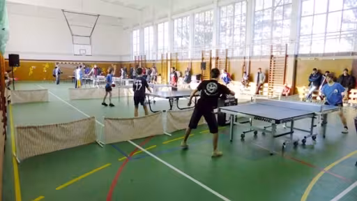 concursuritenisdemasa20131357222473.jpg