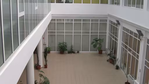 incubator4.jpg