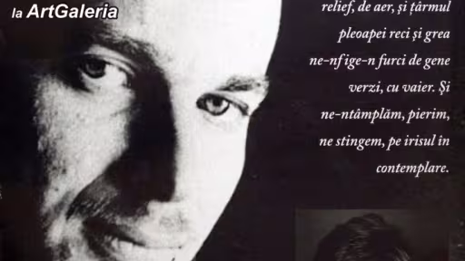 afisnichitastanescu.jpg