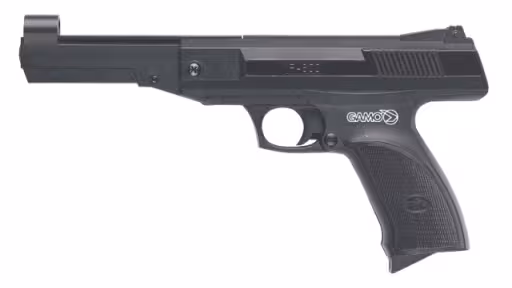 pistol.jpg
